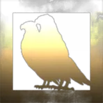 Parakeet Industries