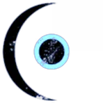 Sabiq