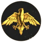 Freedom Fighter Academy