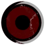 Iris Industries Inc.