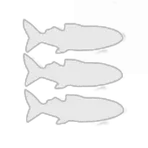 Salted fish Extravaganza