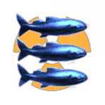 Jasmone Corporation