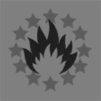 Star Industry Holding