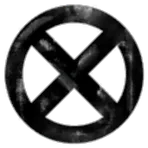 Space X Corp