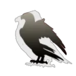 Owl Paper Pushers
