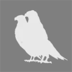 Raven Academy