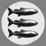 Koi Fleet