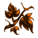 websam