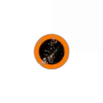 Nexus Core