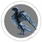 bird enjoyers