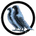 TEST Corporation Please Notice
