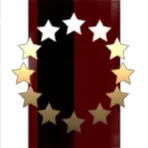 Special Committee VII
