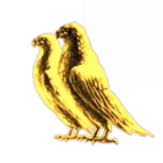 Zwergfalke GmbH