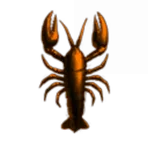 Wormhole ISK Masters