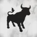 Bulls and Bears Capital