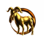 goat suppliers co.