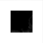 Equal in the Darkness citezen