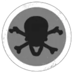 Fat Dragon Pirate Co.