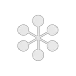 Network Dynamics
