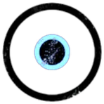 Heavy Delta Central Intelligence