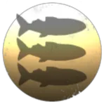 Aventure Chasse Peche