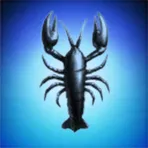 Krab Team 6
