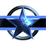 Blue Permit Enforcers