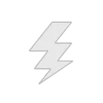The Electric Eels