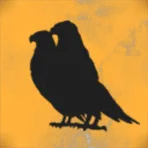 Crazy Birds