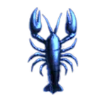 Ordo Ignis Asinum