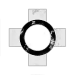 Partisan Operations Group