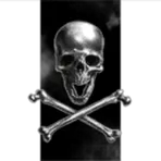 PIRATE REVENUE SERVICE