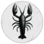 Black Crabs