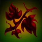 Peroga