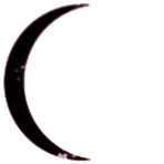 Advanced Lifeform Imitating Earths Native Species