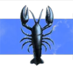 Deep Talent Pool