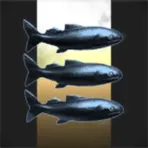 Trawlerman Solutions