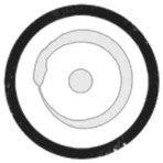 Outer Rim Nomads