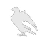 The Skylarks