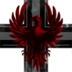 Phoenix Vi Consortium