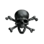 BlackSkulls.Online Bank Corporation