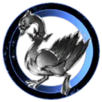 Birbs and worm holes