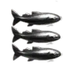 Fish Force Foundation