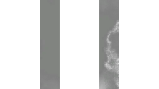LAG Creation