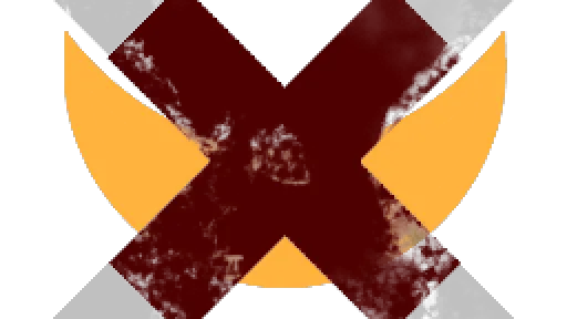 Xenzone Networks