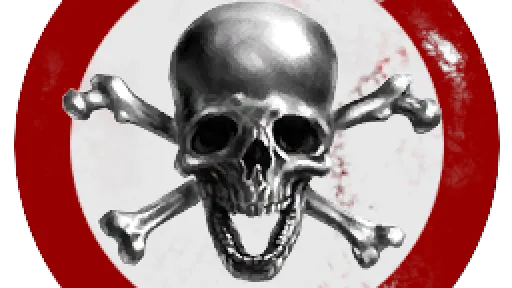 SKULL AND B0NES