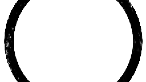 Narwhal Holdings