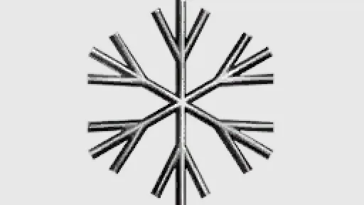 Unique Snow Flake Society
