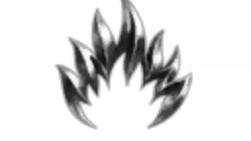 CEO Executor