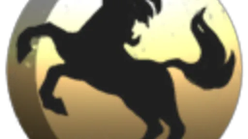 PONIES EVERWHERE